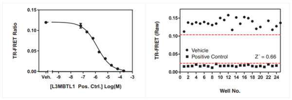 L3MBTL1 MBT Domains TR-FRET檢測試劑盒
