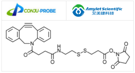 Conju-Probe-DBCO-SS-NHS
