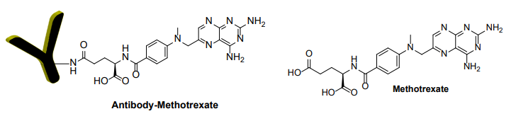 抗體-甲氨蝶呤偶聯(lián)試劑盒