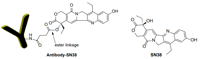 抗體-SN38 偶聯(lián)試劑盒