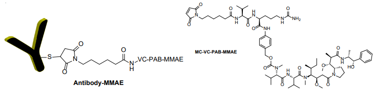 抗體 MMAE偶聯(lián)試劑盒（含 VC-PAB 連接子） 
