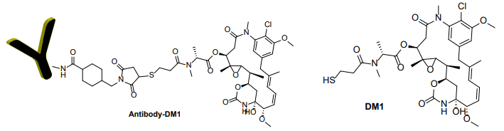 抗體-美登素（DM1）偶聯(lián)試劑盒 