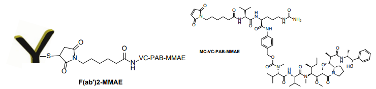 F(ab')2 -MMAE 偶聯(lián)試劑盒（含 VC-PAB 連接子）