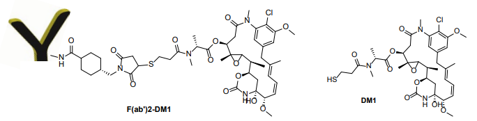 F(ab')2 -美登素（DM1）偶聯(lián)試劑盒