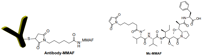 抗體-Mc-MMAF 偶聯(lián)試劑盒