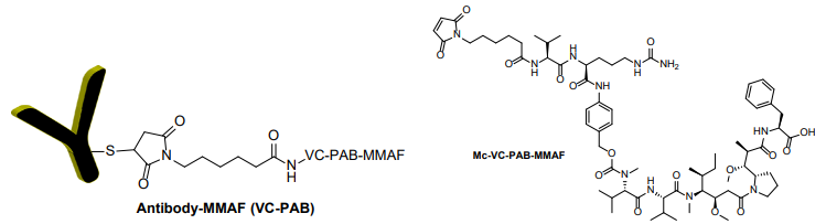 抗體MMAF 偶聯(lián)試劑盒（含 VC-PAB 連接子）