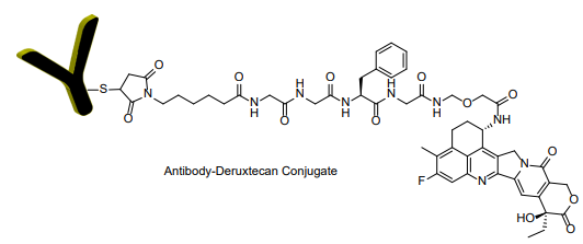 抗體-德魯替康偶聯(lián)試劑盒