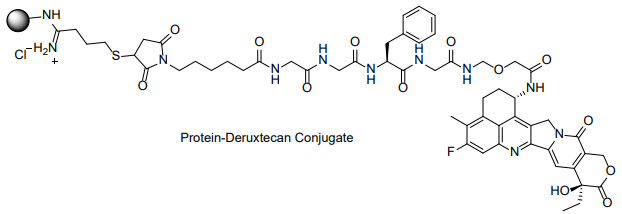 Protein Deruxtecan Conjugation Kit