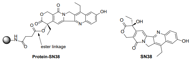 Protein SN38 Conjugation Kit
