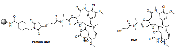 Protein Mertansine (DM1) Conjugation Kit