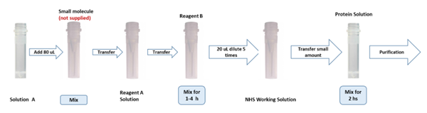 PerKit BSA小分子酸偶聯(lián)試劑盒