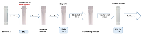 PerKit KLH小分子酸偶聯(lián)試劑盒