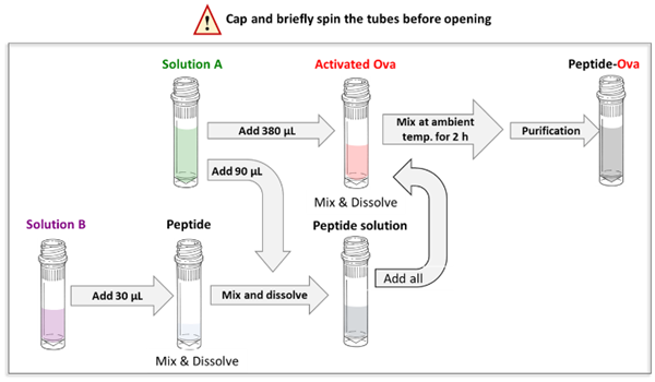 卵白蛋白-肽偶聯(lián)試劑盒