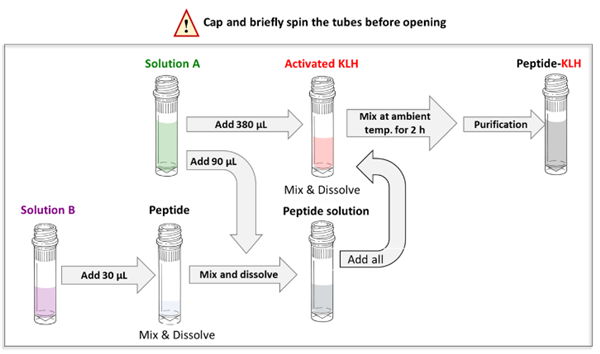 KLH肽偶聯(lián)試劑盒