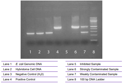 支原體檢測試劑盒