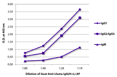 山羊抗駱馬IgG（重鏈+輕鏈）-生物素