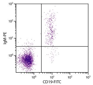 小鼠抗人IgM PE（UHB）