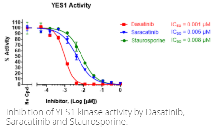 YES1激酶檢測試劑盒