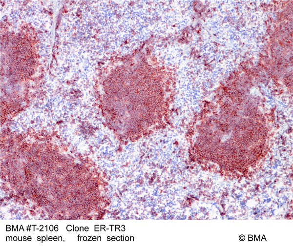 Selected references.png