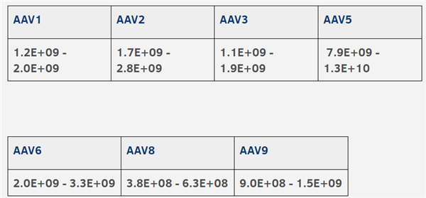 PROGEN-AAV ELISA