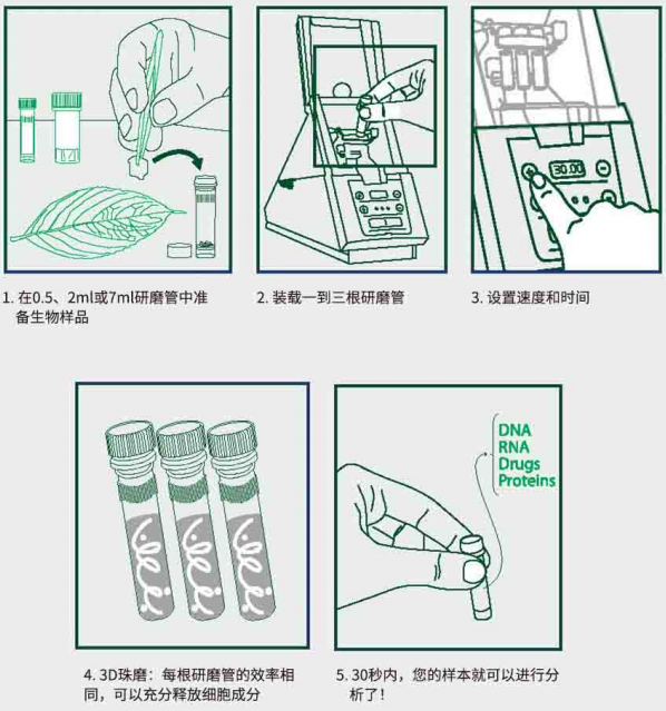 MINILYSO生物樣品研磨器