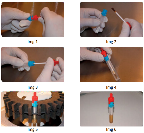 Svar Life Science-Easy Extract