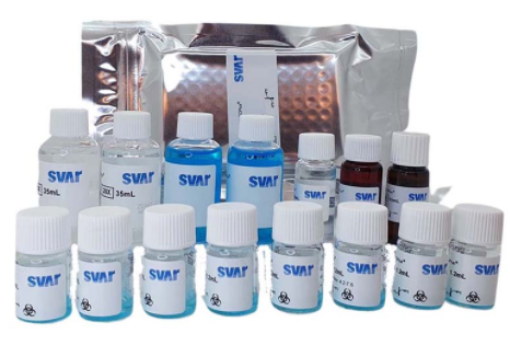 Immunoscan CCPlus 檢測試劑盒