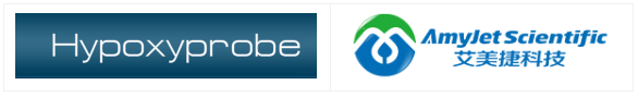 Hypoxyprobe-1試劑盒