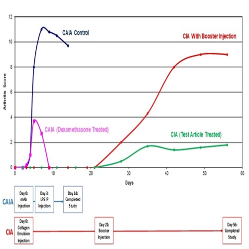 CIA:致關(guān)節(jié)炎單克隆抗體5-克隆混合物試劑盒