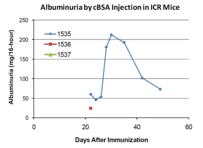 Chondrex陽離子牛血清白蛋白