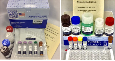 小鼠抗水痘-帶狀皰疹病毒（VZV/水痘）IgG ELISA試劑盒