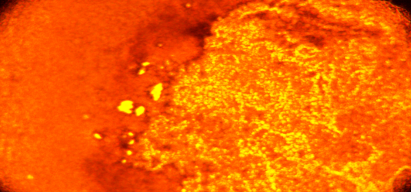 Hypoxyprobe-1 RED PE試劑盒