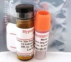Hypoxyprobe-CY 9 Kit