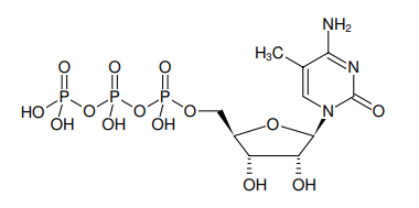 5-Methyl-CTP