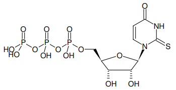 Jena bioscience--2-Thio-UTP