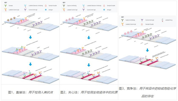 側(cè)流免疫層析