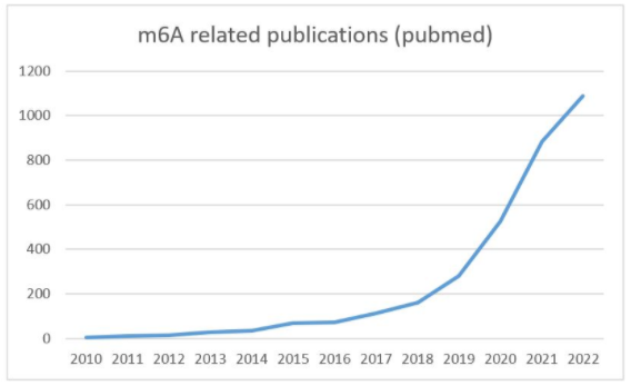 通過MeRIP測(cè)序發(fā)現(xiàn)m6A RNA甲基組