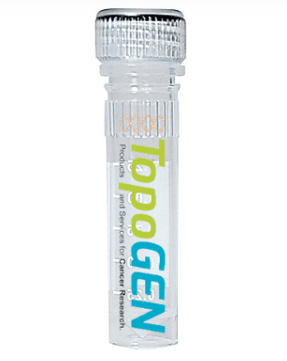 Kinetoplast DNA（kDNA）