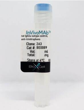 大鼠IgG2a同種型對(duì)照