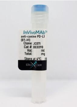 JC071單克隆抗體與犬PD-L1（程序性死亡配體1）反應(yīng)
