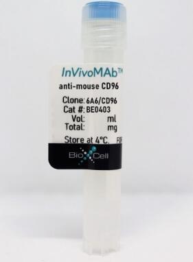 6A6單克隆抗體與小鼠CD96反應(yīng)