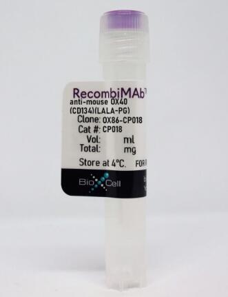 RecombiMAb抗小鼠OX 40(CD 134)(LALA-PG)
