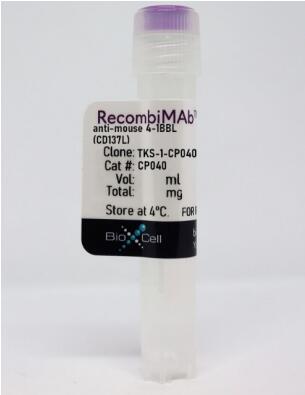 RecombiMAb抗小鼠4-1BBL(CD137L)