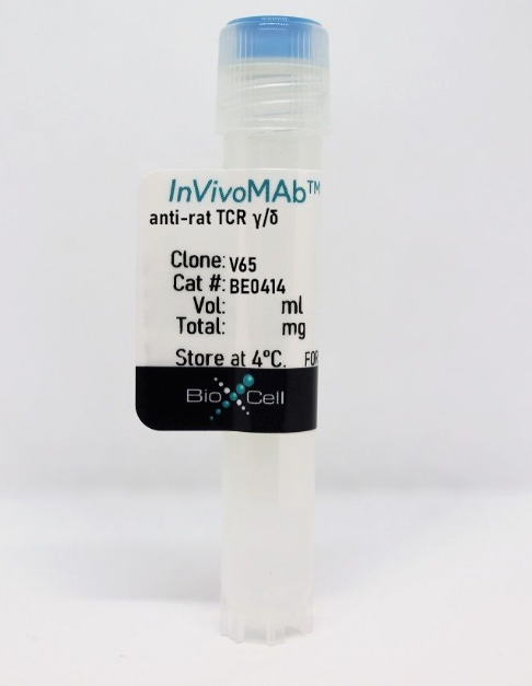 InVivoMAb抗鼠TCRγ/δ