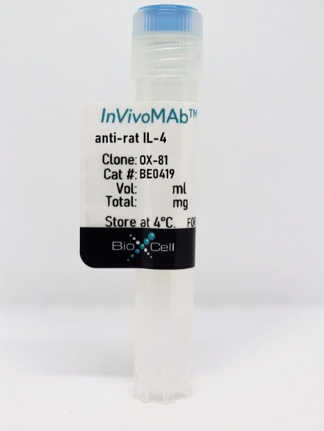 InVivoMAb抗大鼠IL-4/InVivoMAb anti-rat IL-4