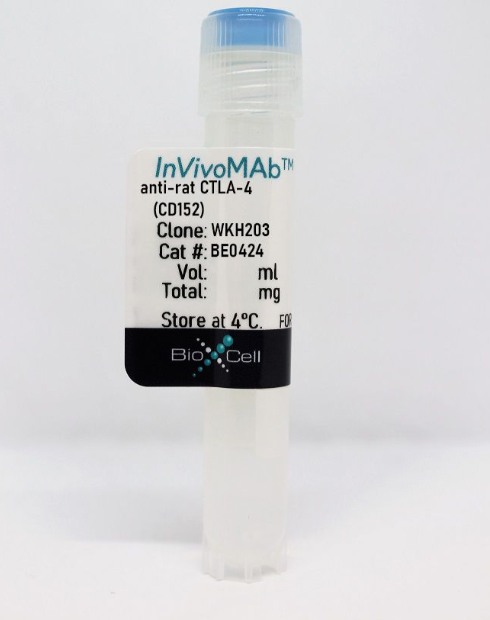 InVivoMAb抗大鼠CTLA-4(CD152)/InVivoMAb anti-rat CTLA-4 (CD152) 