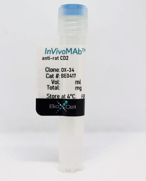 InVivoMAb抗大鼠CD2/InVivoMAb anti-rat CD2