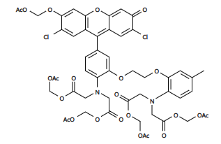 鈣離子熒光探針Fluo-3,AM,超級(jí)純
