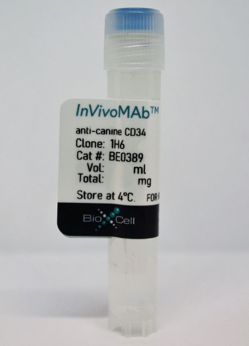 InVivoMAb抗犬CD34/InVivoMAb anti-canine CD34