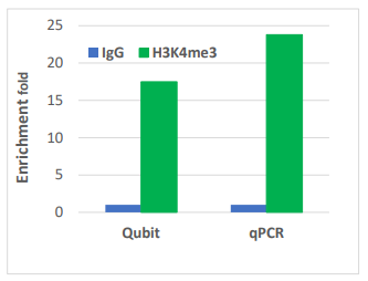 EpiNext 富集靶蛋白/DNACUT&LUNCH檢測試劑盒